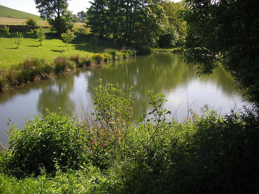 Kirkton of Largo Balhousie Farm Bed And Breakfast מראה חיצוני תמונה